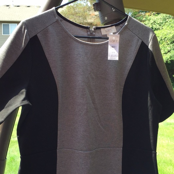 NWT Loft Dress - Picture 2 of 4